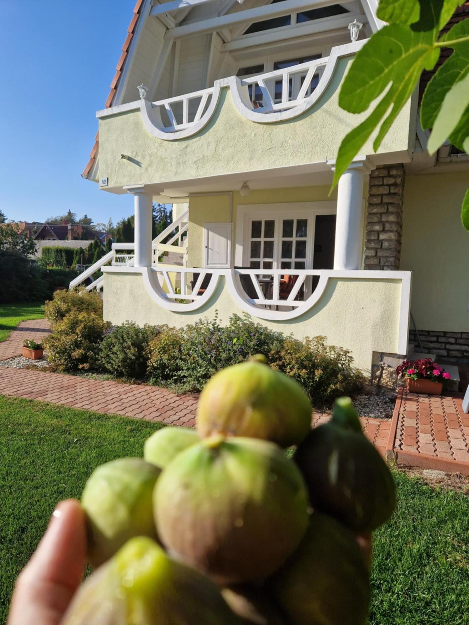 Balaton Apartman Fured Aparthotel Balatonfüred Exterior foto